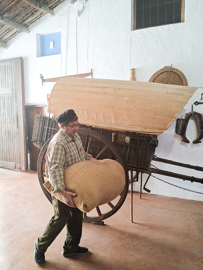 dia_museos10