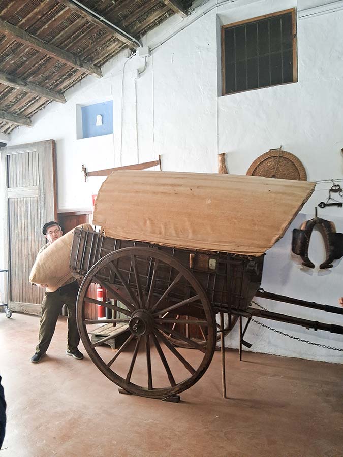 dia_museos11